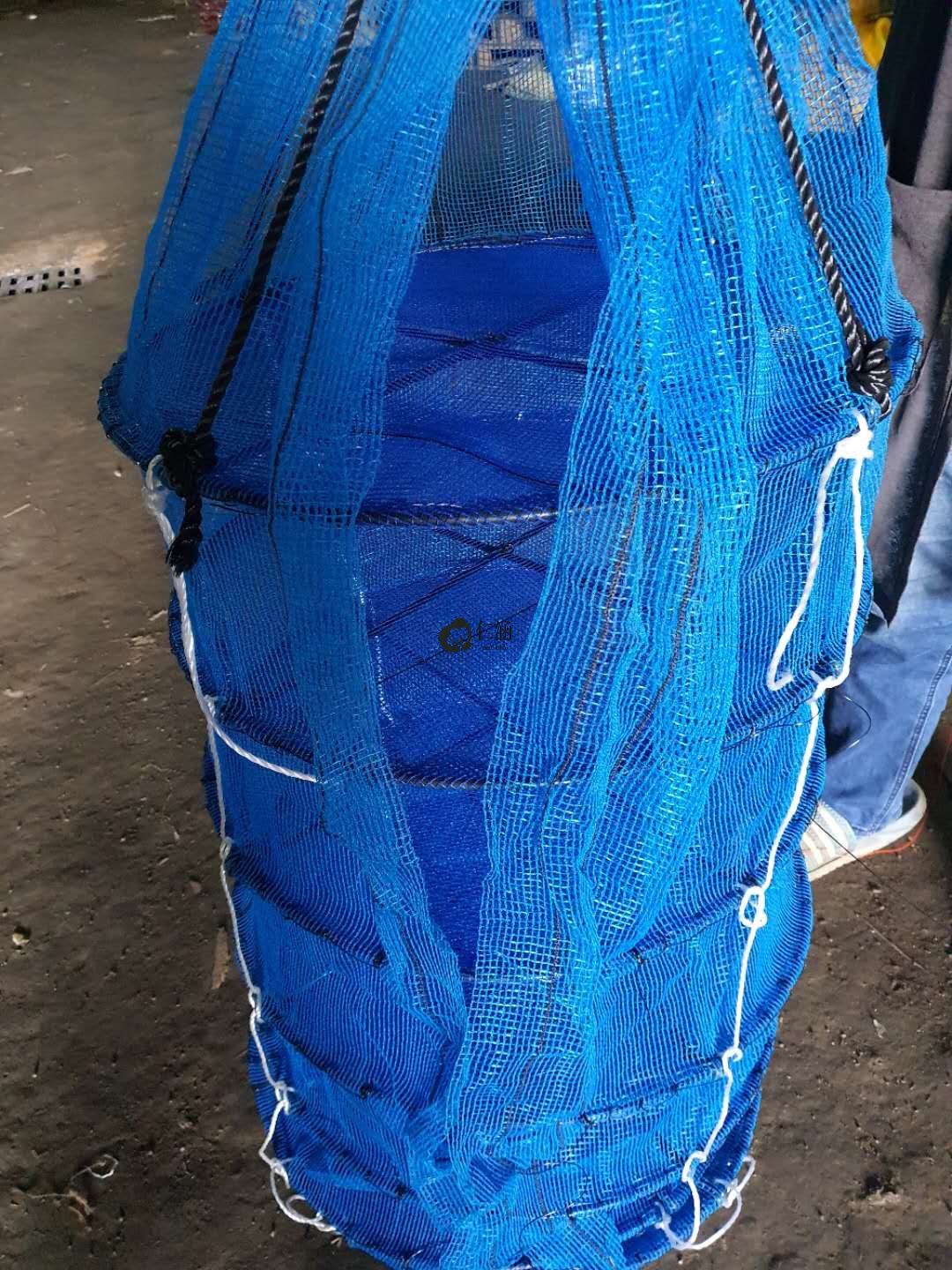 外國客戶用育苗暫養籠